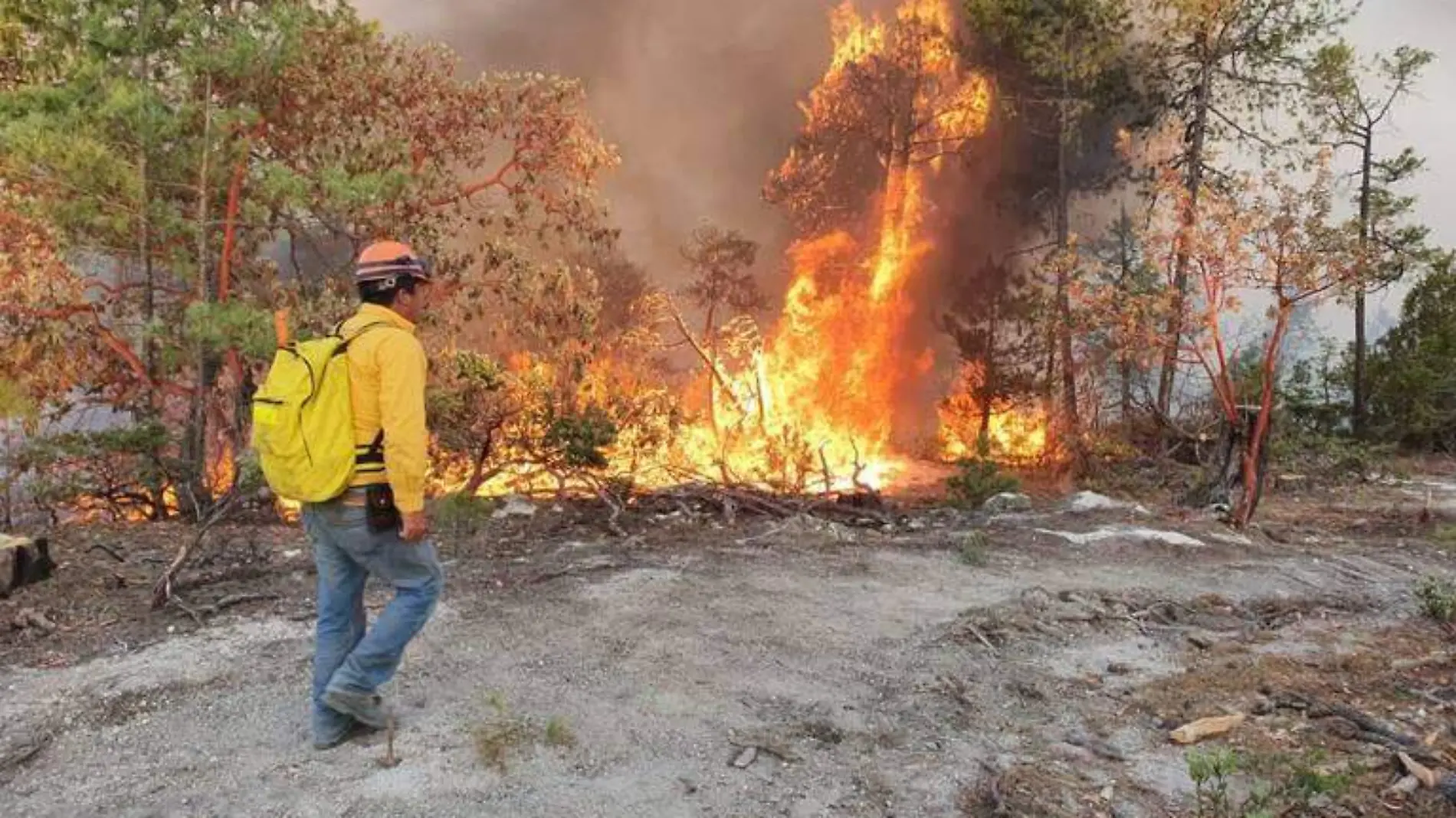 Incendios Forestales en Chihuahua